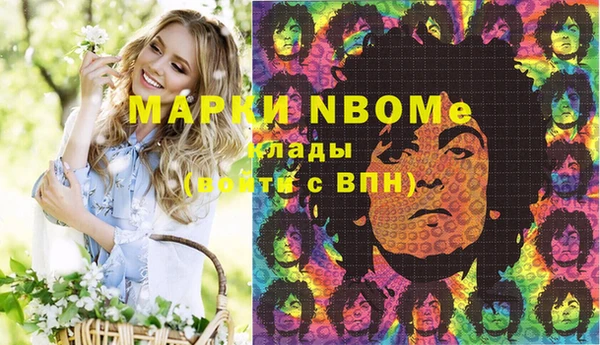 хмурый Алексин